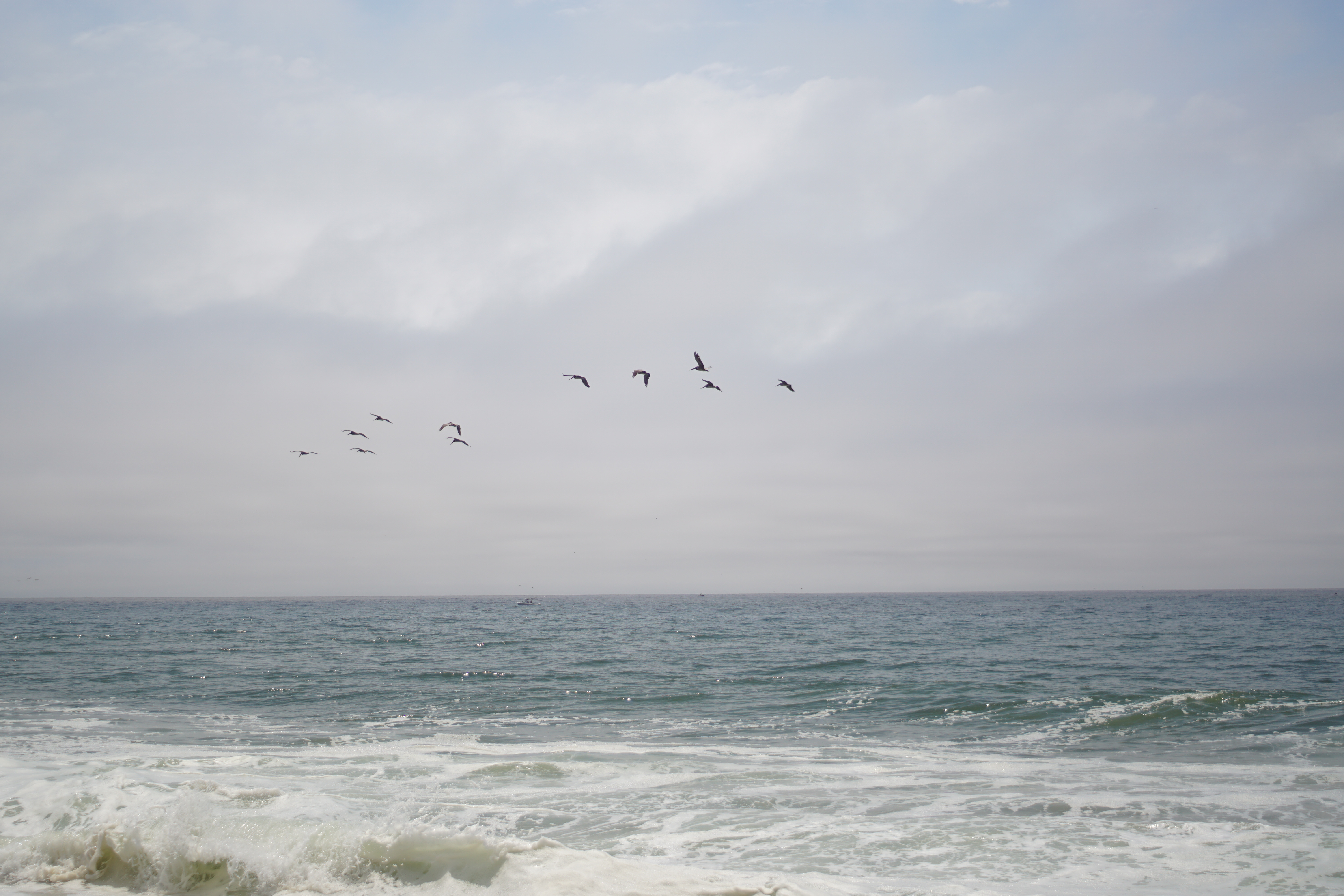 Half Moon Bay, CA 2024