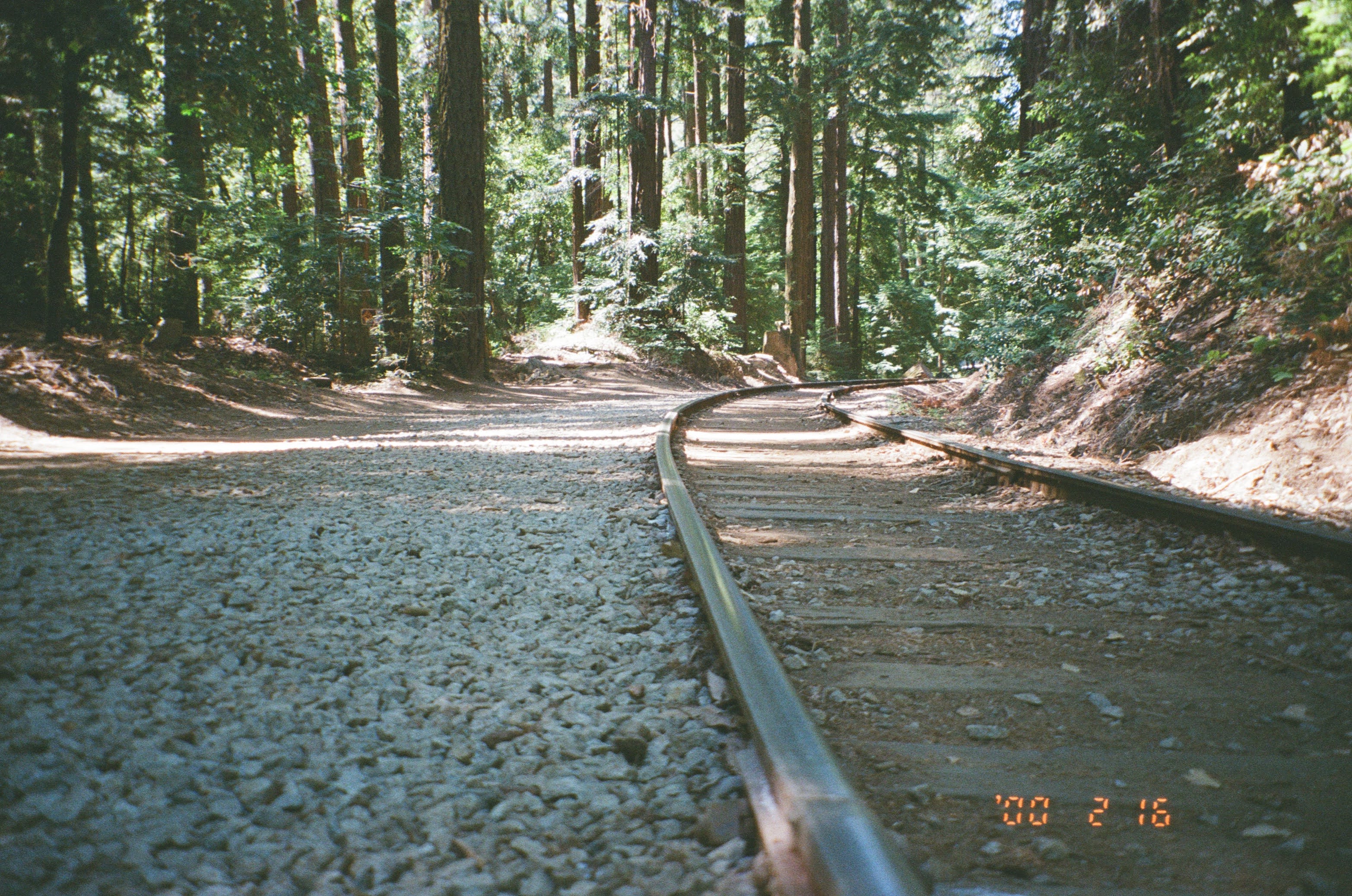Santa Cruz Redwoods, CA 2022